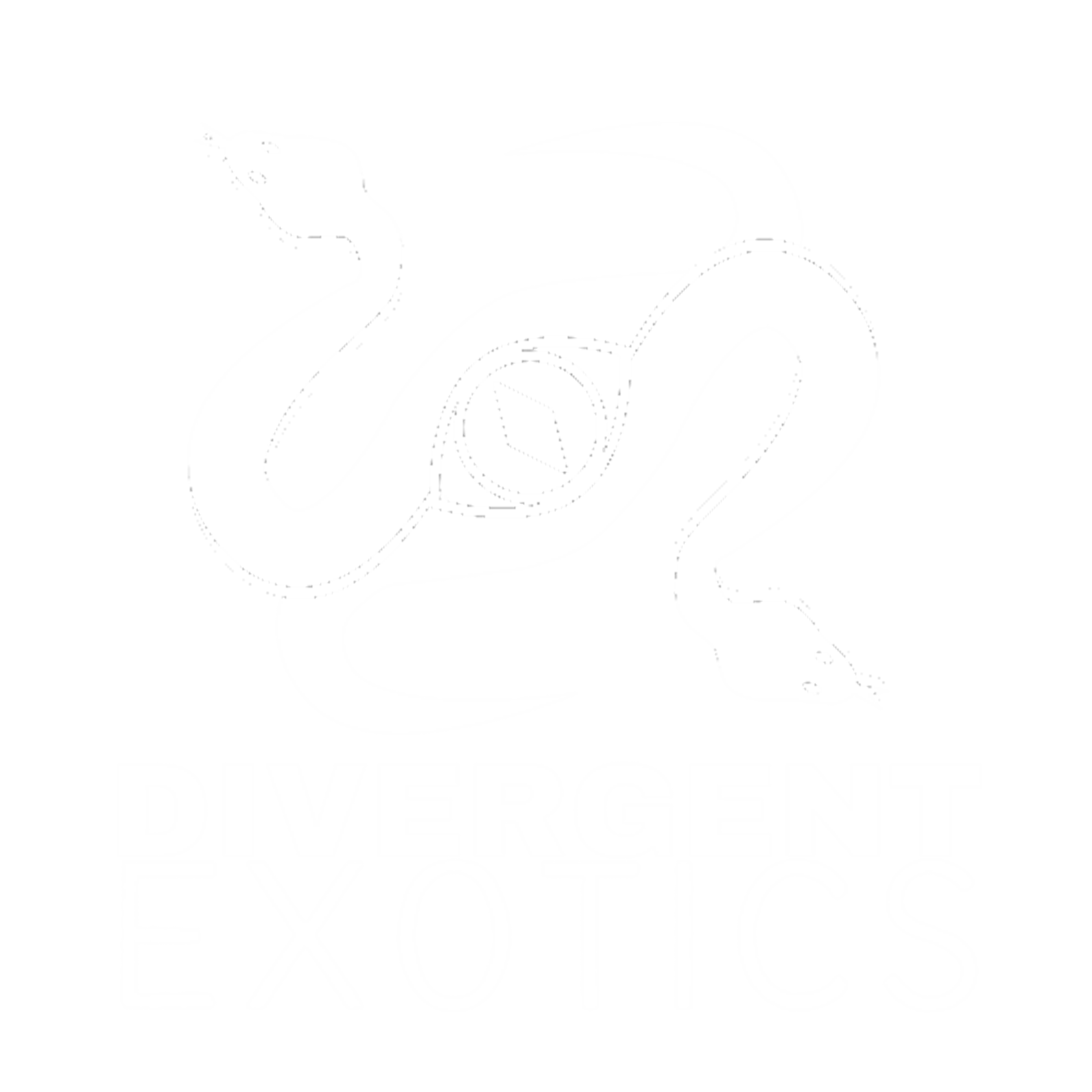 Divergent Exotics Reptiles, Insects, Plants, Supplies